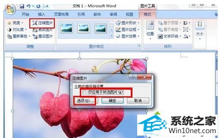 win10ϵͳoffice2007 wordĵвͼƬ޷ʾͼĲ