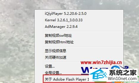 win10ϵͳ鿴iEеFlash player汾Ĳ